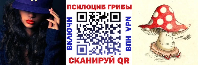 mega tor  Кувшиново  Галлюциногенные грибы прущие грибы  купить наркоту 